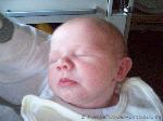 Hanna Doris