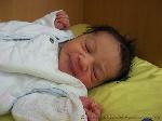 Jacin