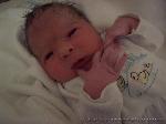 Evelina