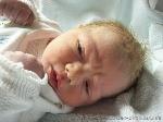 Hannes