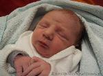 Alessjo Miguel