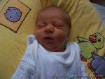 Leon-Alexander