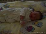 Contino