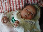 Tarek Noah