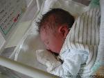 Fynn