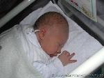 Luca-Max