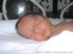Gonca