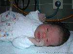Emilia Sophie
