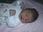 Eline