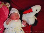Anna Lucia