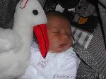 Edwin