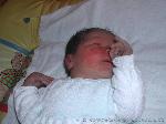 Leon