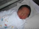 Tran Quoc Viet