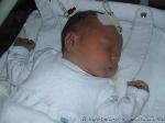 Maximilian