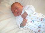 Noah Fabian