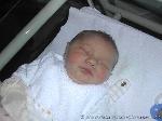 Sophie Anneliese