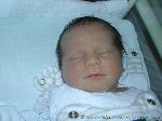 Torben