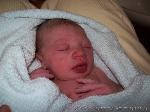 Noah Daniel