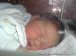 Coralie