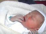 Taylor Robert Norbert