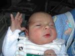 Bastian