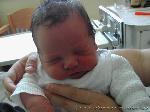 Fabian